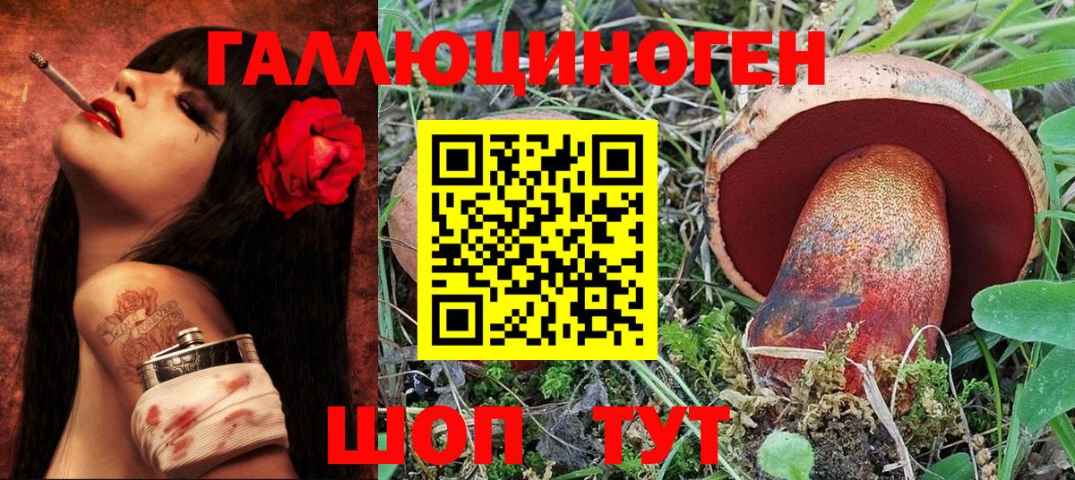 Псилоцибиновые грибы MAGIC MUSHROOMS  Вход с VPN  Барабинск 