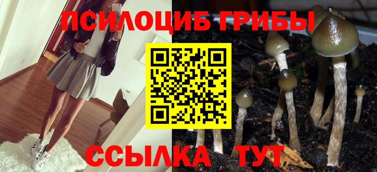 Галлюциногенные грибы мицелий Барабинск